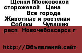 Щенки Московской сторожевой › Цена ­ 35 000 - Все города Животные и растения » Собаки   . Чувашия респ.,Новочебоксарск г.